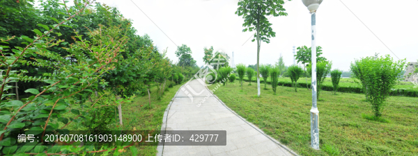 公園風(fēng)景,,園林綠化