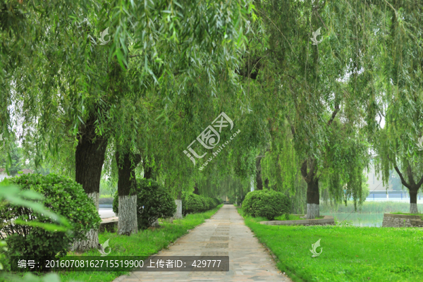 公園風(fēng)景,,園林景觀(guān),,公園路