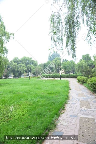 公園風(fēng)景,,園林景觀