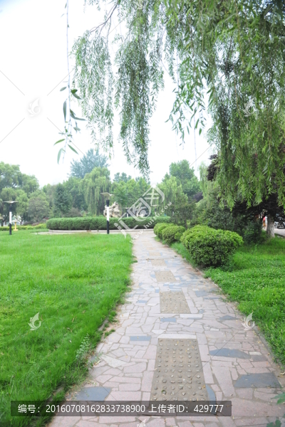 公園道路,,小路,園林景觀