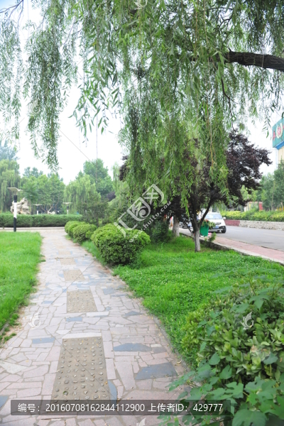 公園道路