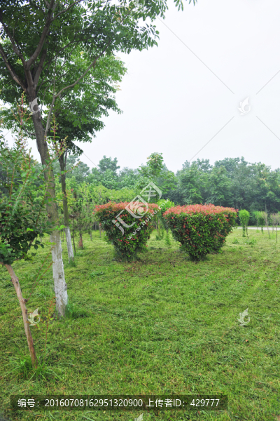 公園風(fēng)景,,園林綠化
