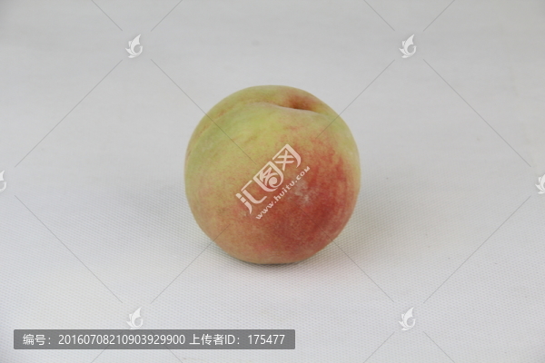 毛桃子
