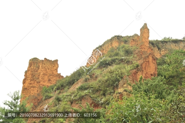 陸良,彩色,沙林
