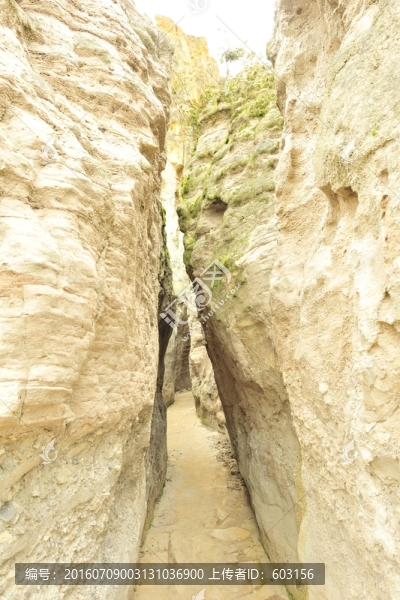 陸良,彩色,沙林