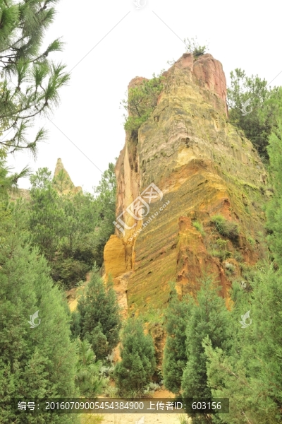 陸良,彩色,沙林