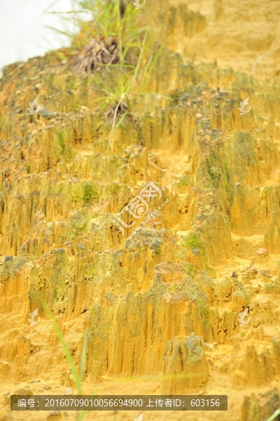 陸良,彩色,沙林