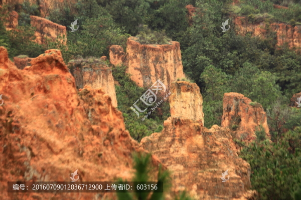 陸良,彩色,沙林