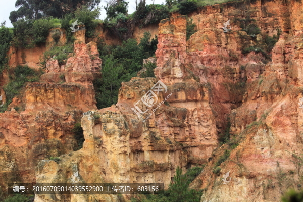 陸良,彩色,沙林