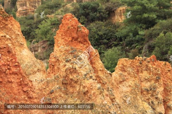 陸良,彩色,沙林