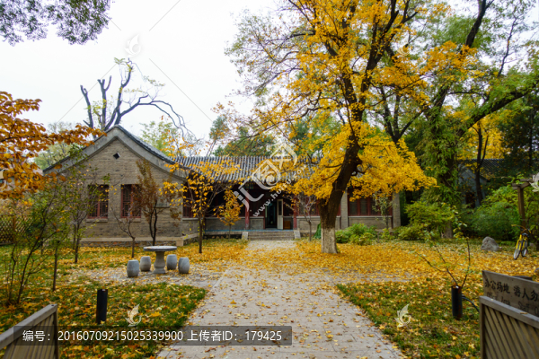 北京大學(xué)美學(xué)與美育研究中心楓葉