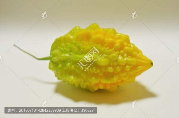 金鈴子,癩葡萄