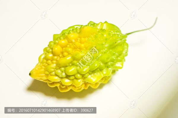 金鈴子,癩葡萄