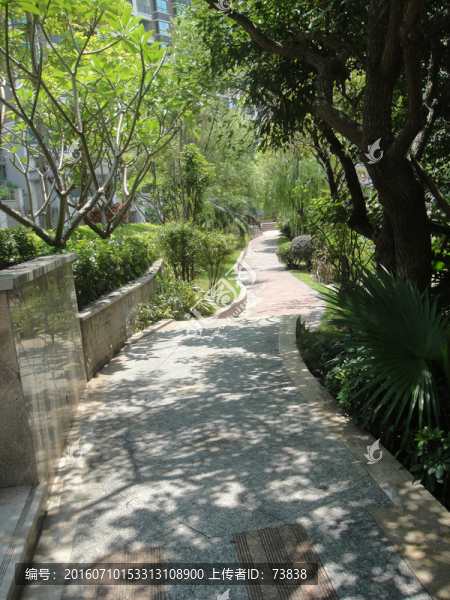 山間小路