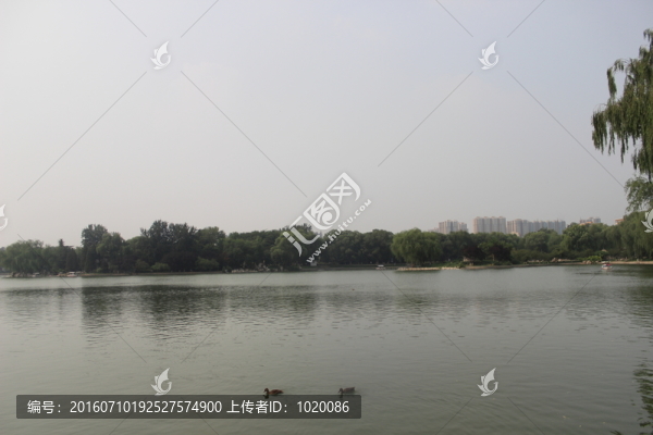 湖