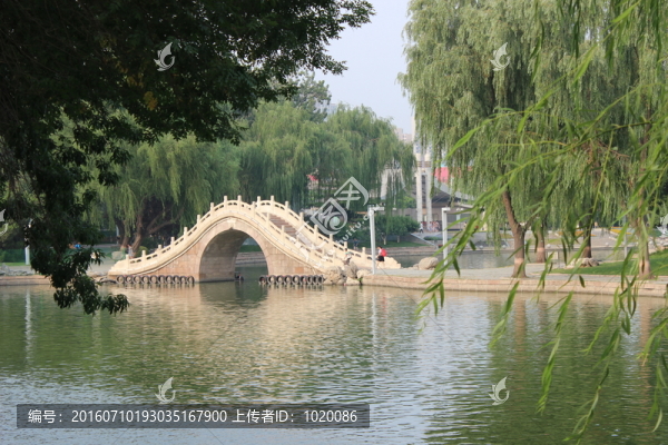 橋