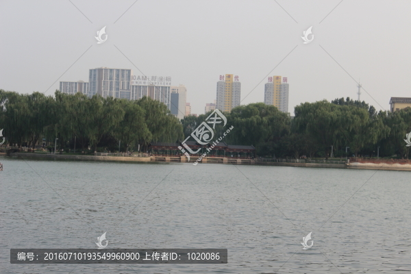 龍?zhí)豆珗@