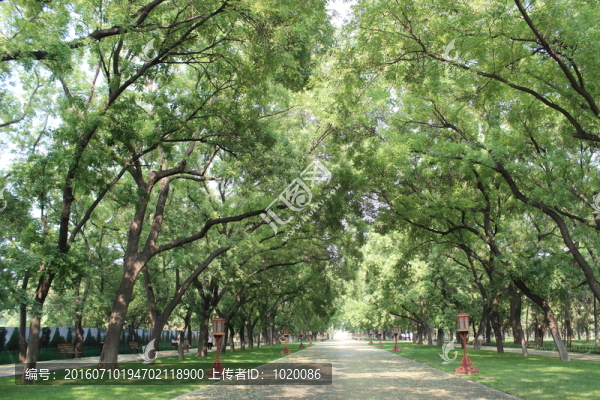 馬路