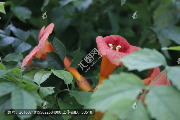陶然亭