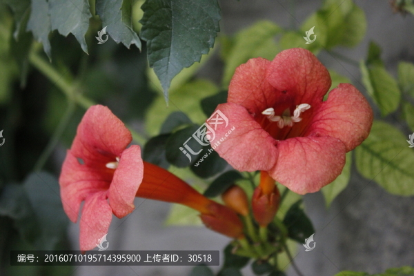 陶然公園