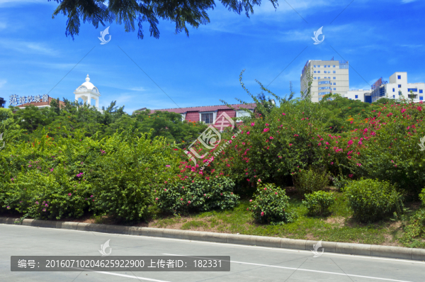 街頭園林