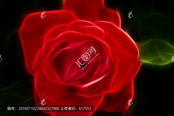 月季花