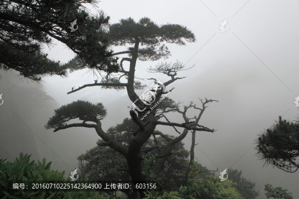 江西,三清山
