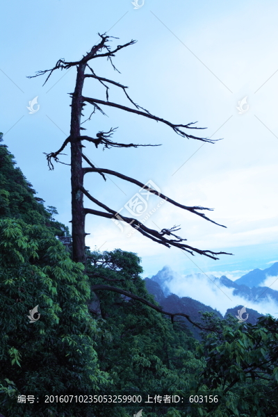 江西,三清山