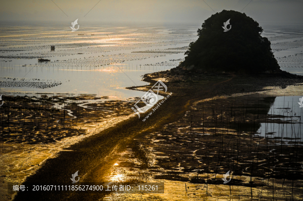 饅頭山小路