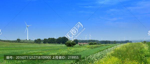 草原風(fēng)光