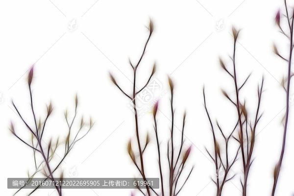簡潔抽象樹枝