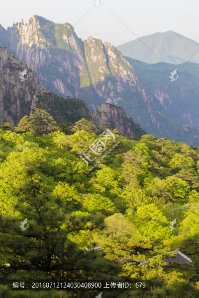 黃山