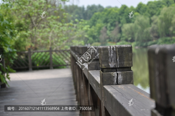 橋廊