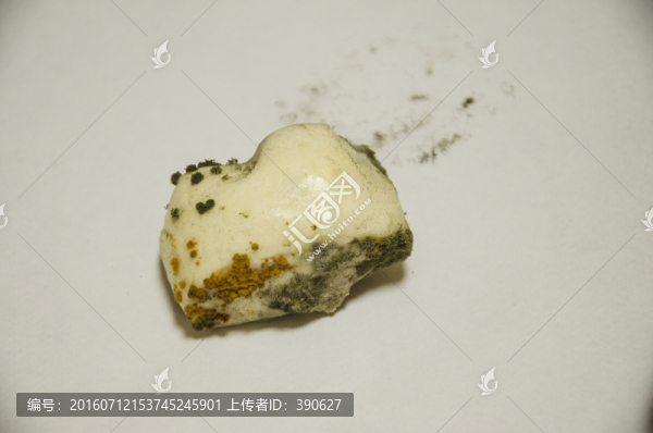 發(fā)霉的饅頭,霉斑