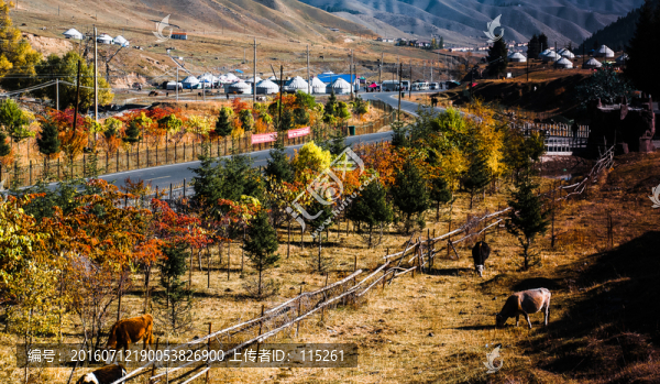 南山牧場全景