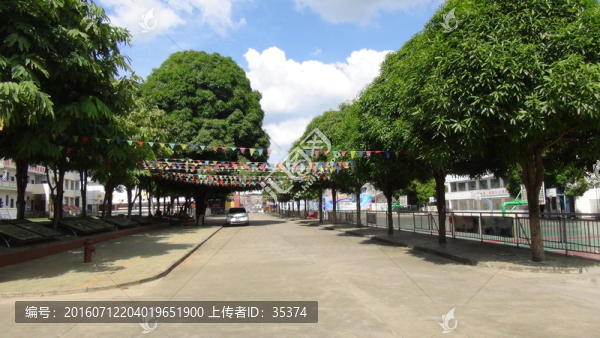 校道