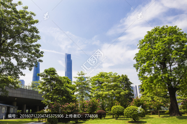 樹木草地