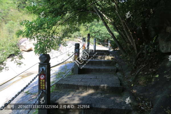 林蔭小道