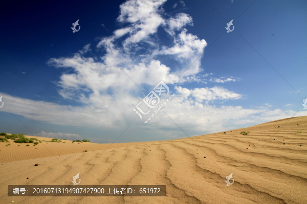 沙漠