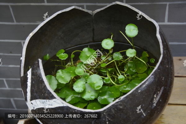 花瓶