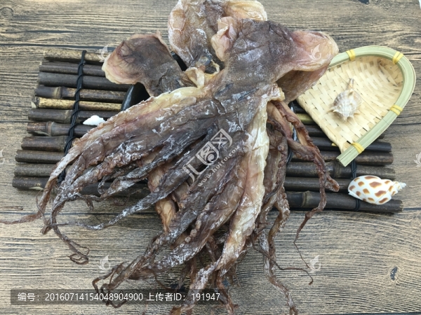 章魚