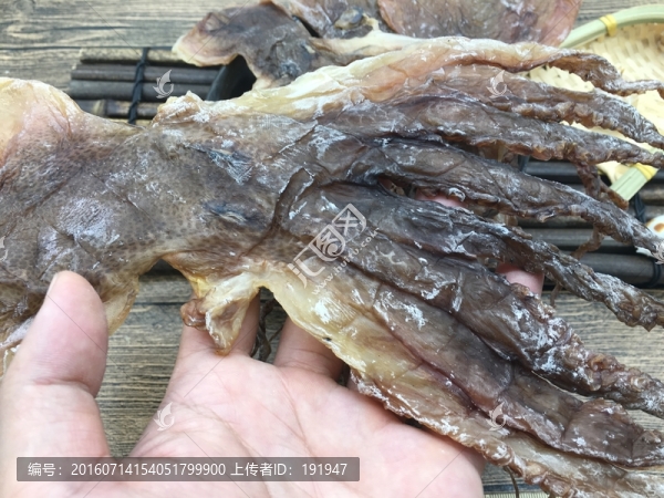 章魚