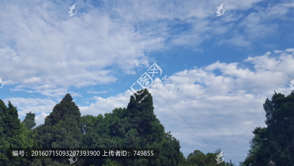 八大關