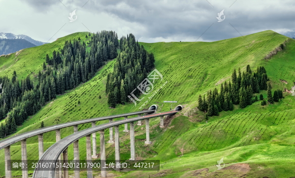 新疆果子溝高架橋