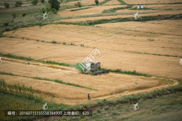 麥?zhǔn)? title=