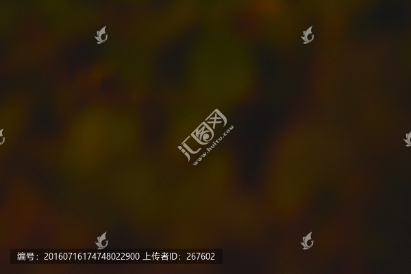 夢(mèng)幻