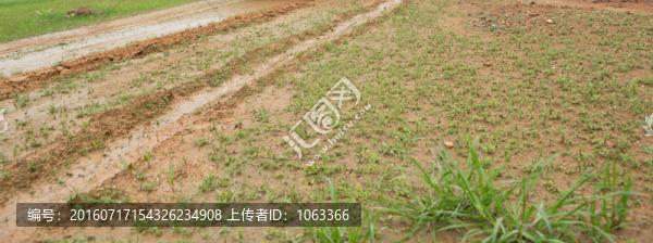 雨后泥地