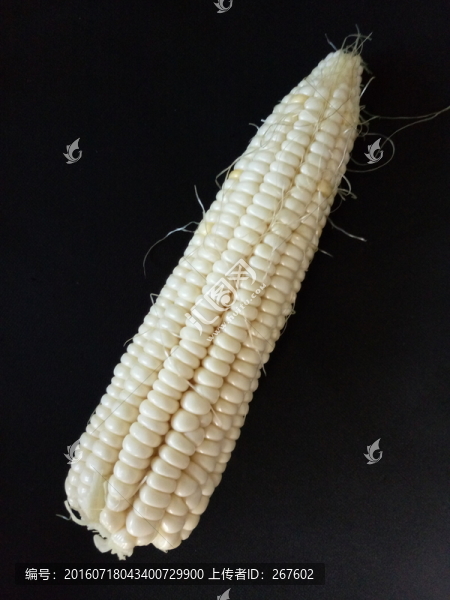 玉米