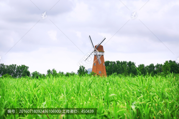 濕地