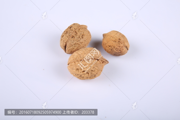云南核桃